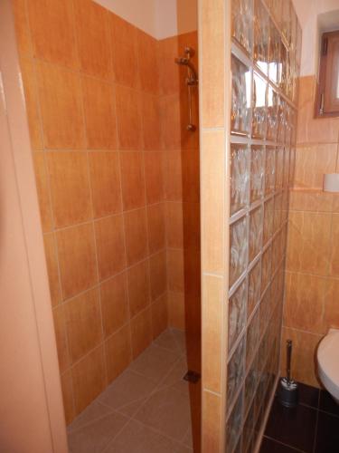 een badkamer met een douche, een toilet en een wastafel bij Penzion Jaro Žampach in Jílové u Prahy