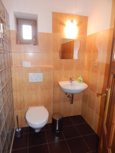 een badkamer met een toilet en een wastafel bij Penzion Jaro Žampach in Jílové u Prahy