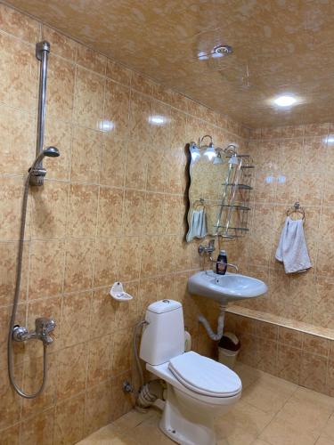 uma casa de banho com um WC, um chuveiro e um lavatório. em Eco em Yerevan