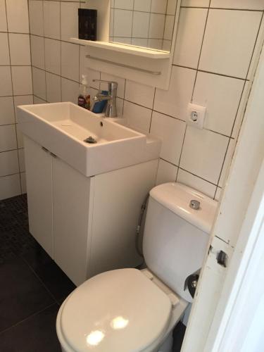 a bathroom with a white toilet and a sink at Villa Lavendel in Borgholm