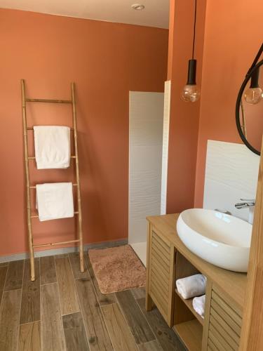 une salle de bain avec un lavabo et un miroir dans l'établissement Entre Ciel Et Nature, à Venterol