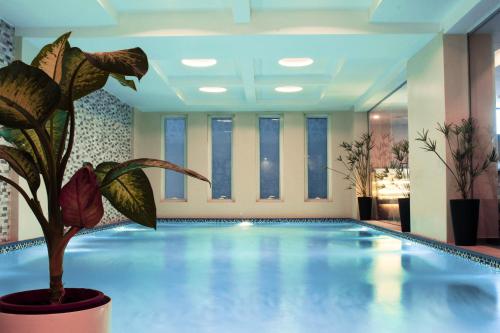 a indoor pool with a plant in a lobby at Velvet Hotel Jeddah in Jeddah