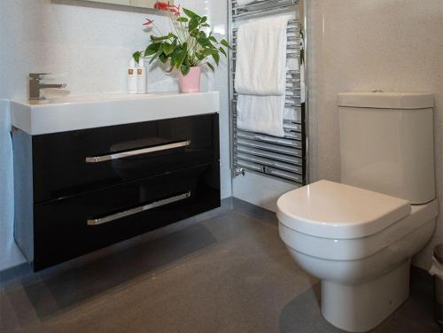 a bathroom with a white toilet and a sink at Tower Barn Cottage, Castle Carrock, Nr Carlisle in Castle Carrock