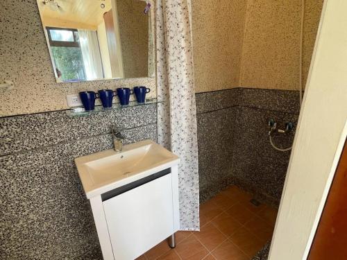 a bathroom with a sink and a shower and a mirror at Tuscany Garden B&B in Guanxi