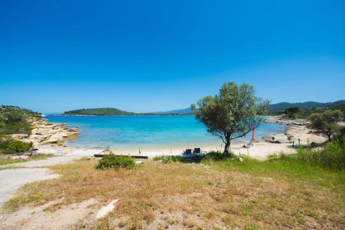 a beach with a tree and a body of water at Nereus & Oceanus Beachfront Apartments, Lagonisi Beach #FeelsLikeHome in Ormos Panagias