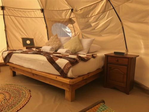 a bed in a tent with a laptop on it at Totoralillo Glamping in Coquimbo