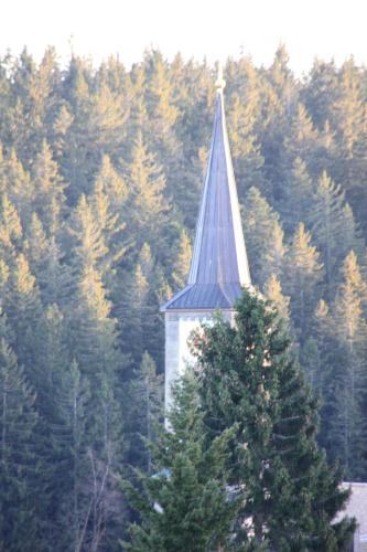 a steeple of a church in the middle of a forest at Hotel an der Sonne & Restaurant Zum Schneiger in Schonwald im Schwarzwald