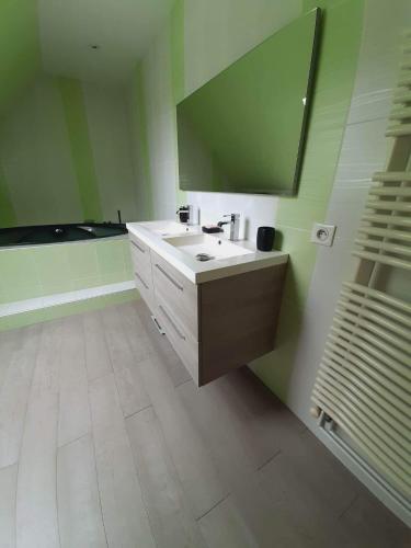 een badkamer met een wastafel en een spiegel bij Chambres in Saint-Mars-la-Brière