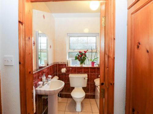 a bathroom with a white toilet and a sink at Raheen in Castletownshend