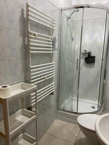 a bathroom with a shower and a toilet and a sink at Żółta Walizka Gościniec in Podrzewie