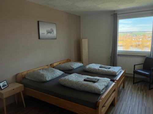 - une chambre avec 2 lits et une grande fenêtre dans l'établissement Camping am Bootshaus, à Beverungen