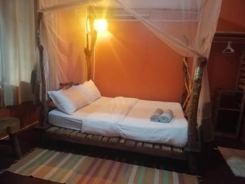 Gallery image of Jinja Backpackers in Jinja