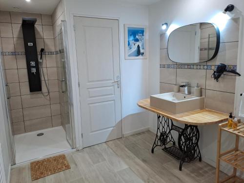 uma casa de banho com um lavatório e um chuveiro em L'Annexe- guest house avec piscine studio avec coin chambre em Rosny-sur-Seine