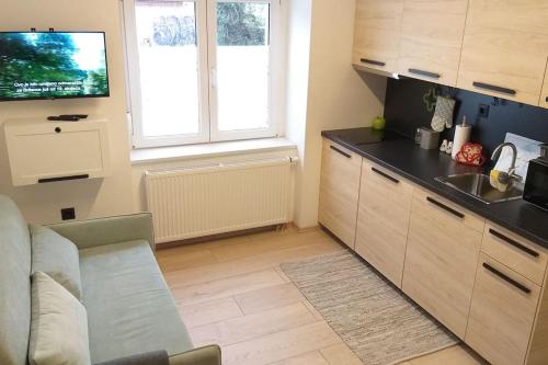a kitchen with a couch and a tv in a room at White brick Apartment in Zagreb