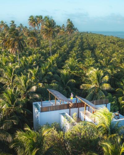 a house on top of a hill with palm trees at Villas Taturé in São Miguel dos Milagres