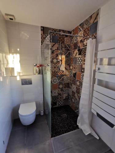 une salle de bain avec toilettes et douche dans l'établissement Villa 8 personnes à proximité des bords de Saône, à Montmerle Sur Saône