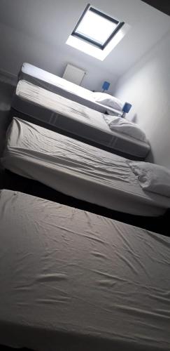 two beds in a bedroom with a skylight at GITE DE LA POILANE in Saint-Aubin-de-Luigné