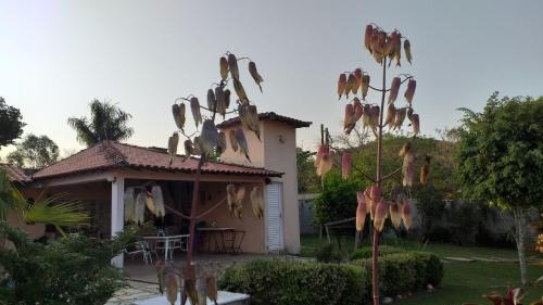 a house with a bunch of birds hanging from a tree at Rancho do Colega in Santa Branca