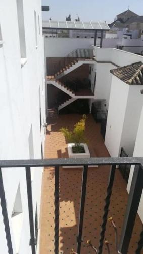 a view of a hallway of a building with a plant at ático con terraza- solarium in Écija