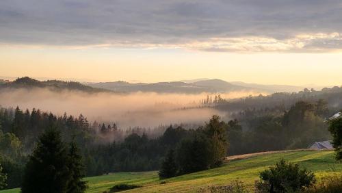 a view of a foggy valley with mountains and trees at Apartamenty 8 i 10 osobowe Koniakówka Resort in Koniaków