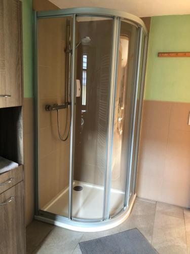 a shower with a glass door in a bathroom at Café Landart im Thüringer Finistère in Plaue