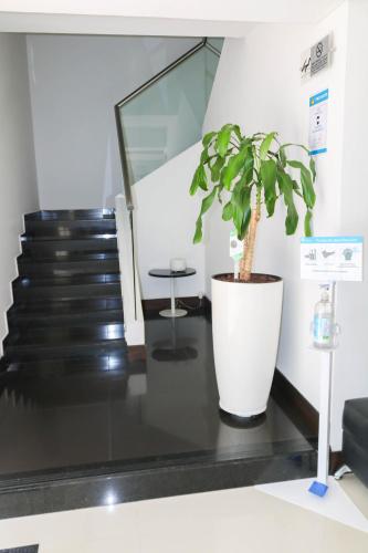 Imagen de la galería de Hotel Loyds, en Medellín