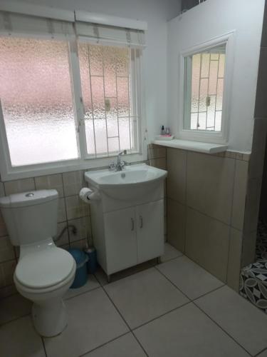 a bathroom with a toilet and a sink and two windows at I Could Live Here - guest house in Sedgefield