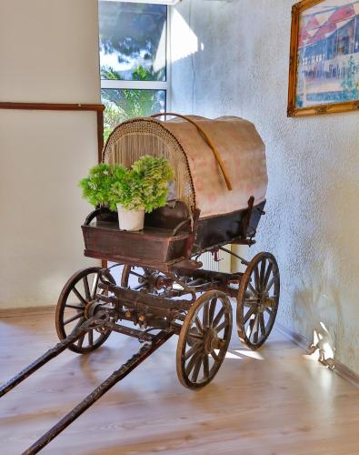 an old wagon with potted plants in a room at Club Hotel Gultur in Kucukkuyu