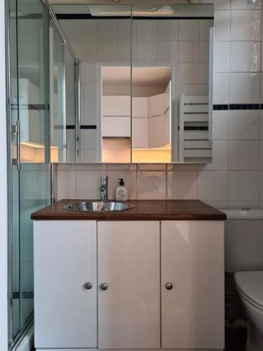 une salle de bain avec un lavabo et des toilettes dans l'établissement Studio à 2 pas de la gare, à Sartrouville