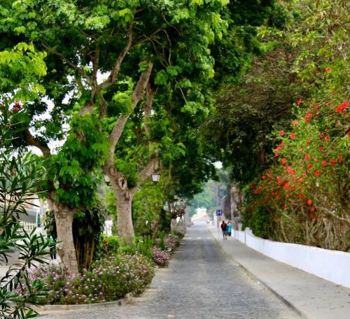 Φωτογραφία από το άλμπουμ του Djabraba's Eco-Lodge σε Vila Nova Sintra