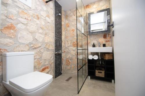 a bathroom with a toilet and a glass shower at Green Oak Villa in Orthoniaí
