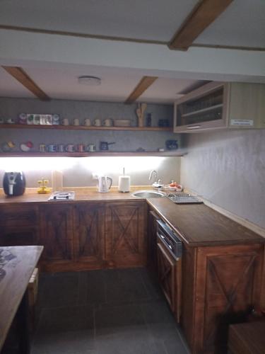 a kitchen with wooden cabinets and a sink and a counter at Midana Vrdnik in Vrdnik