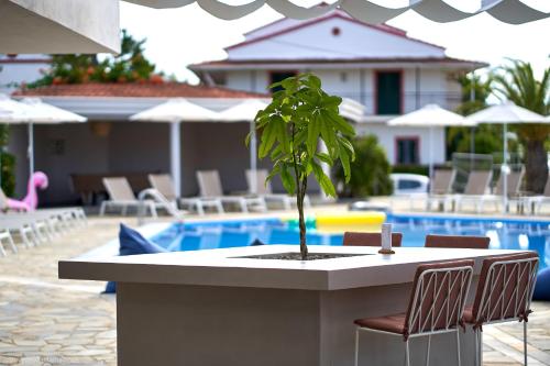 a plant sitting on a table next to a pool at Seaside Studios in Kavos