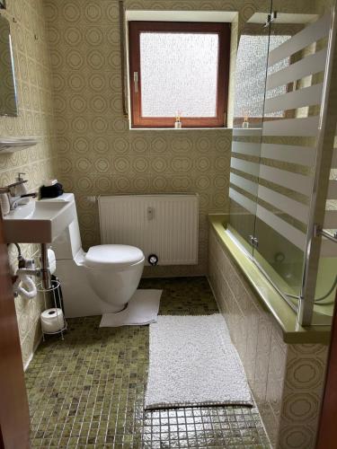 La salle de bains est pourvue de toilettes, d'un lavabo et d'une douche. dans l'établissement Ferienwohnung Schwarzwald, à Pforzheim