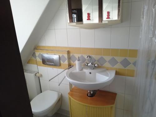 ein Bad mit einem Waschbecken und einem WC in der Unterkunft 1 Zimmer Appartement direkt am Schwielowsee in Neue Scheune