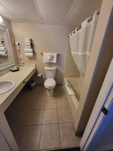 a bathroom with a toilet and a sink and a shower at Beachside Hotel - POOL IS OPEN! in Daytona Beach
