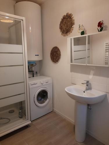 a bathroom with a washing machine and a sink at Maison "Chez Barbara" 6-8personnes in Lalizolle