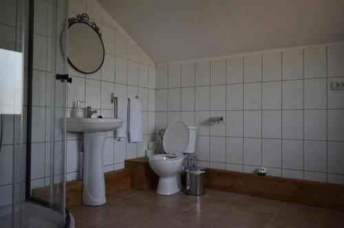 uma casa de banho com um lavatório, um WC e um espelho. em Căsuța de la râu em Rîşca