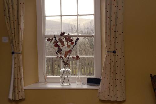 a window with a vase with flowers in it at Glan y Morfa Welsh farmhouse overlooking Dyfi Estuary Rated 4 star Visit Wales in Pennal