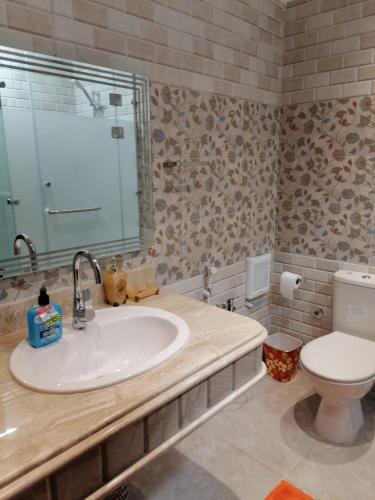 a bathroom with a sink and a toilet at Cozy fully furnished studio in Cairo