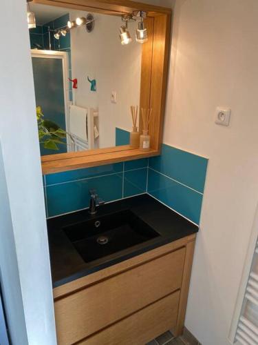 une salle de bain avec un lavabo noir et un miroir dans l'établissement Charmant studio avec jardin, à Avignon