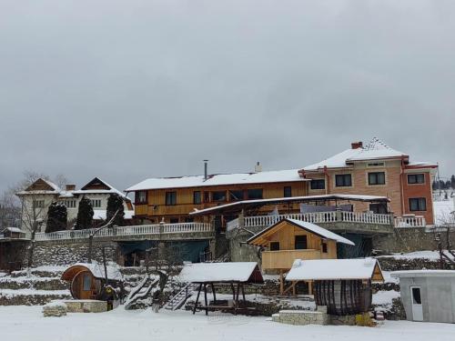 Gallery image of Pensiunea Casa Alex in Sadova