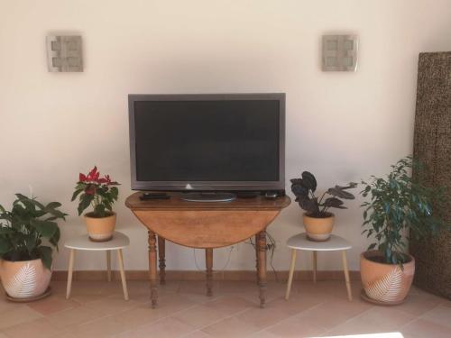 a tv sitting on a table with plants in a room at Chez TATA in Régusse