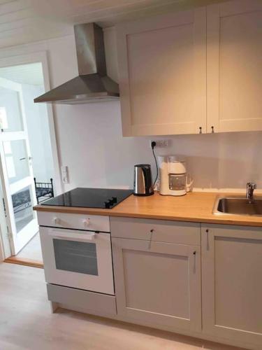 Cuisine ou kitchenette dans l'établissement Cosy groundfloor apartment