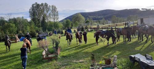 a group of people riding horses in a field at Dwa Dęby in Lubawka