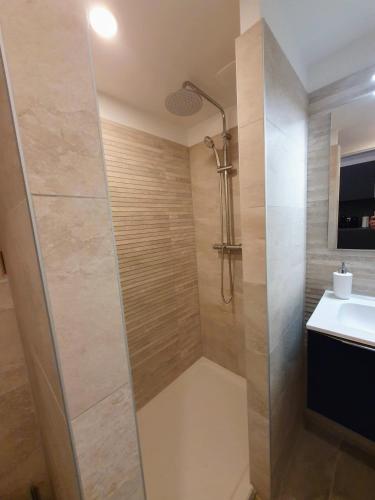 a bathroom with a shower and a sink at Appartement Premium dans une belle demeure - Hyper centre-ville de Reims in Reims