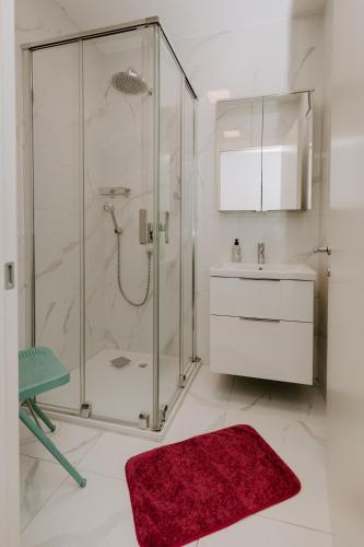 a bathroom with a shower and a red rug at FAIRien from home in Neusiedl am See
