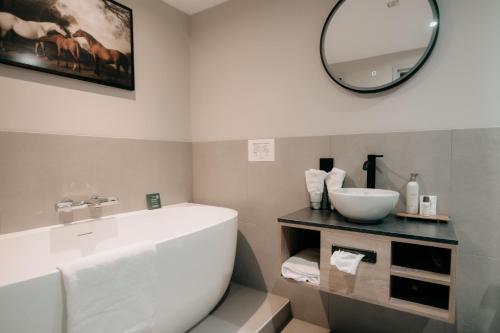 a bathroom with a white sink and a mirror at Witte Berken Natuurhotel in Epe