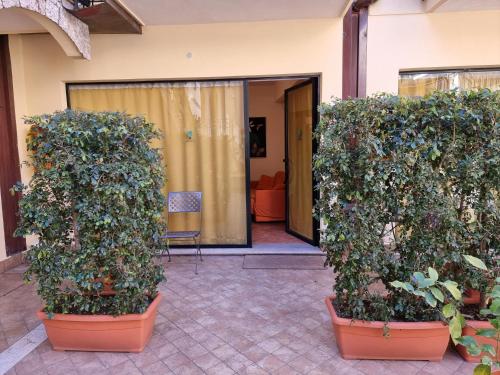 two plants in pots in front of a house at Residence Degli Agrumi in Taormina