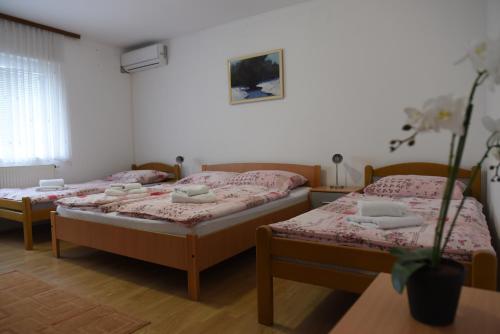 Postel nebo postele na pokoji v ubytování Prenoćište Džinić